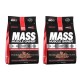 2 x Elite Labs Mass Muscle Gainer 4608 Gr